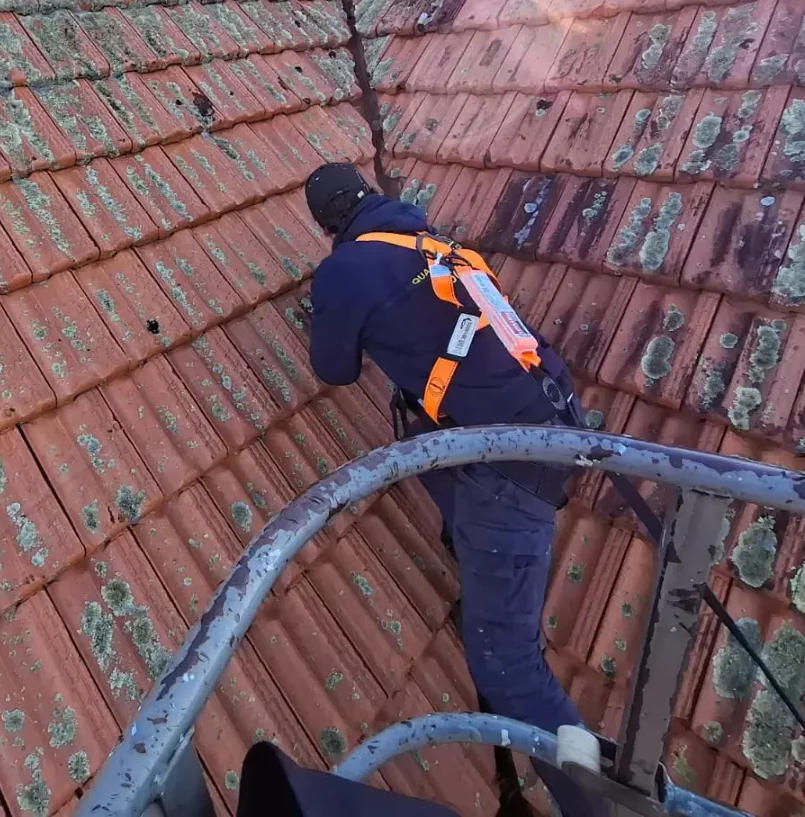 Quality Roof Coatings Roof Assessment in Auckland
